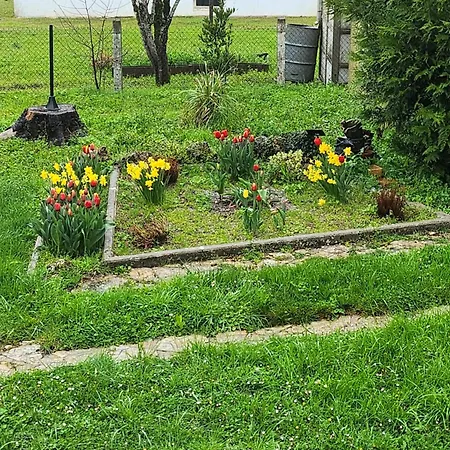 Vakantiehuis Gite Maison D'allier *